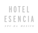 hotel-esencia
